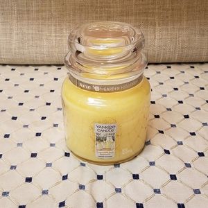 🆕️Yankee Candle Jar Homemade Herb Lemonade
